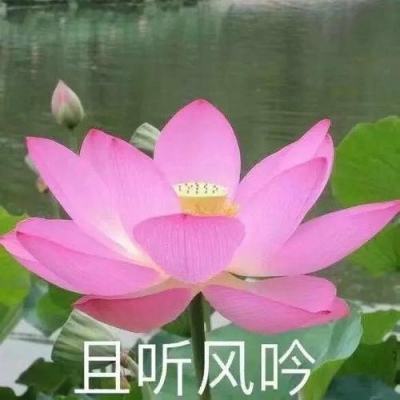 青海省海北军分区助力帮扶村发展香菇种植产业